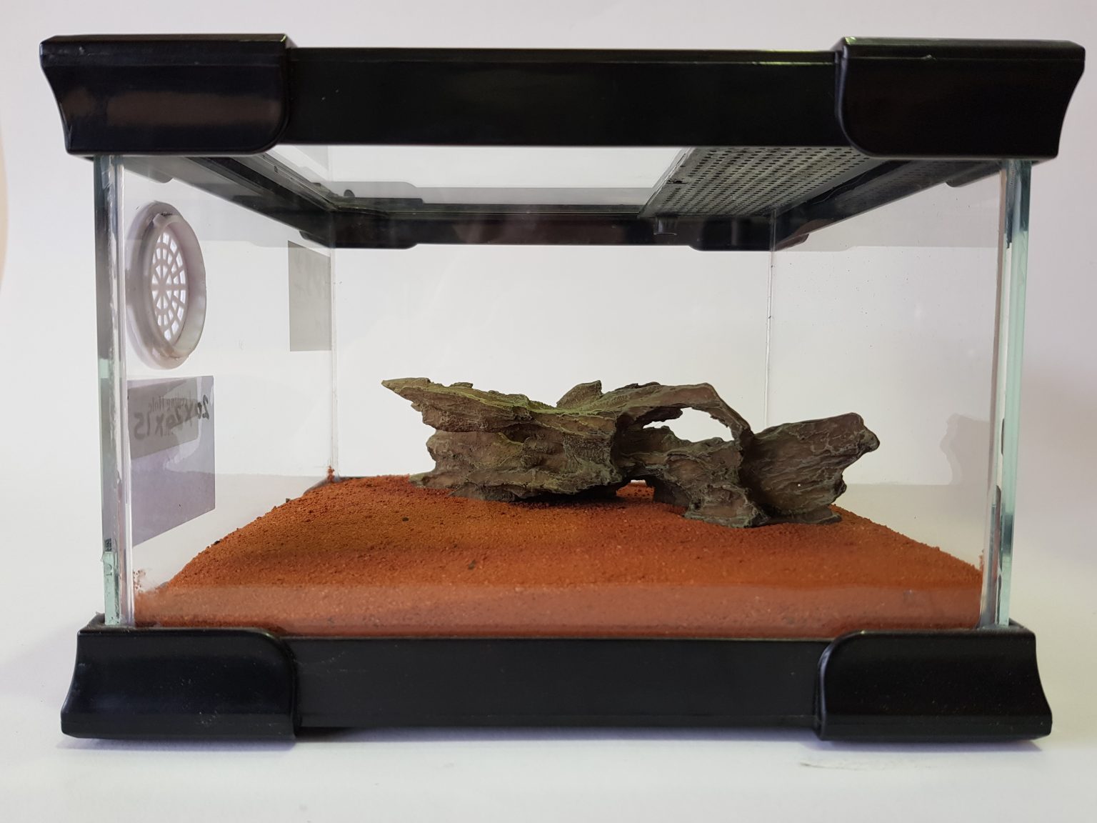 Invertebrate Tank Small Glass Terrarium Family Pet Supplies