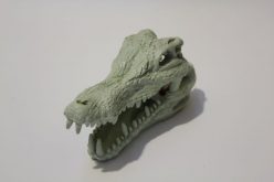 White Crocodile Skull