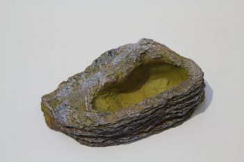 Rockpool Water Bowl