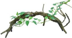 flexible vine and plant