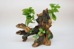 Planted Driftwood