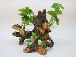 Planted Driftwood