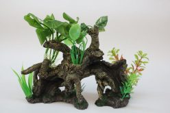 Planted Driftwood