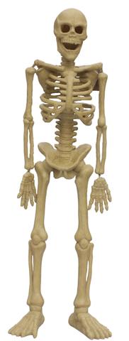 large skeleton