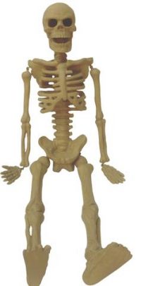 small skeleton
