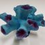 blue coral