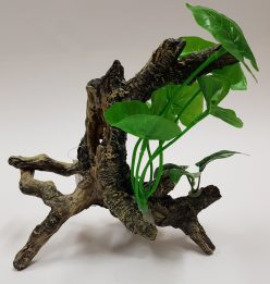 small driftwood