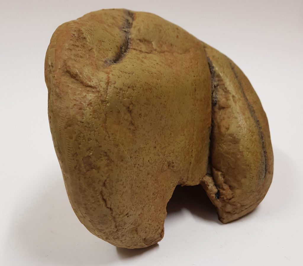 Home Family Pet Supplies