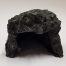 rough hide rock