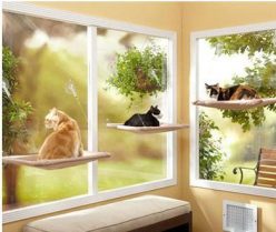 cat window hammock