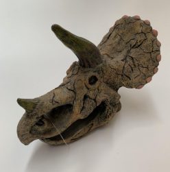 Triceratops Skull - Reptile Ornament
